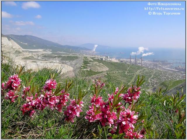 Береговая линия c цемзаводом